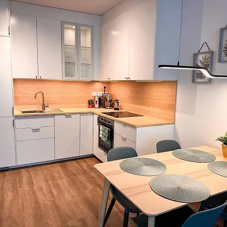 555 New & Fully Equipped With Free Garage Apartamento *