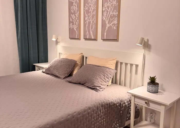 555 New & Fully Equipped With Free Garage