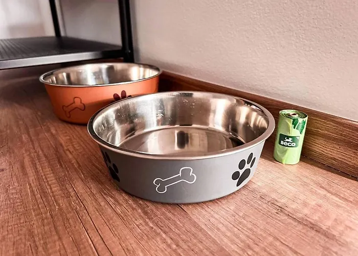 555 New & Fully Equipped With Free Garage * 布拉迪斯拉发